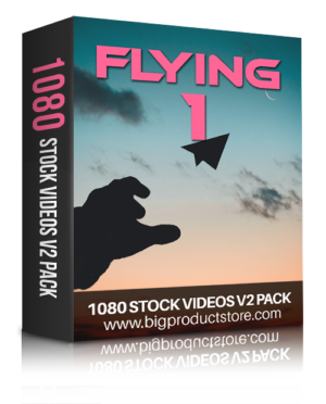 Flying - 1080p HD Stock Video Footage