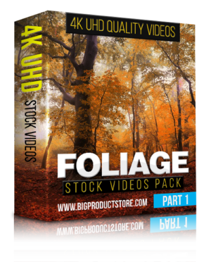Foliage - 4K UHD Stock Video Footage - Part 1 & 2